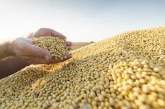 区供应压力减缓政策收储帮力市场企稳