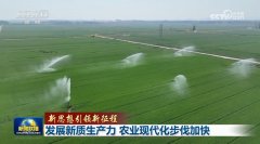 <b>【新思惟引领新征程】成长新质出产力</b>