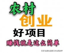 村镇做什么项目最赔本